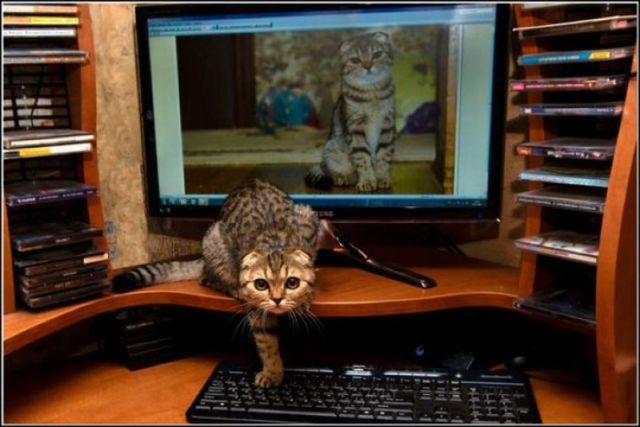 morning picdump 62 pics 7.html - 62 HD Photos | Premium Gallery 2011