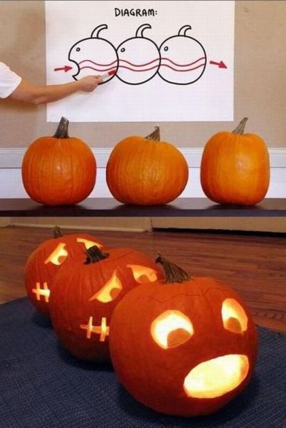 morning picdump 63 pics 2.html - 63 HD Photos | Premium Gallery 2011