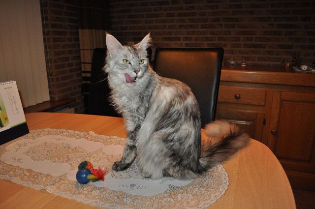 morning picdump 58 pics 7.html - 58 HD Photos | Premium Gallery 2011
