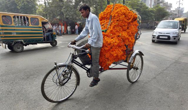 morning picdump 56 pics 3.html - 56 HD Photos | Premium Gallery 2011