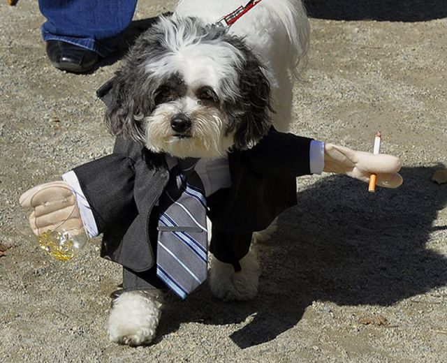 morning picdump 56 pics 3.html - 56 HD Photos | Premium Gallery 2011