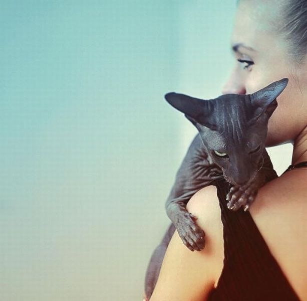 daily picdump 91 pics 3.html - 91 HD Photos | Premium Gallery 2011