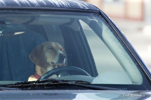 daily picdump 91 pics 3.html - 91 HD Photos | Premium Gallery 2011