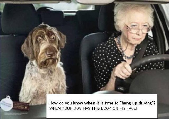 daily picdump 91 pics 3.html - 91 HD Photos | Premium Gallery 2011