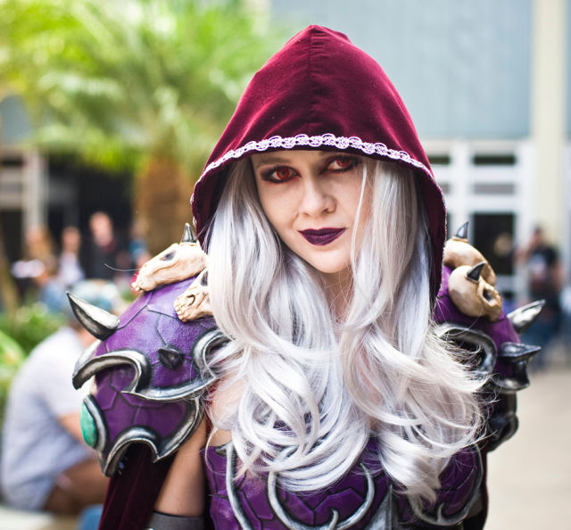 Incredible 2011 Blizzcon Attendees Costumes