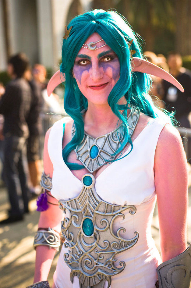 Incredible 2011 Blizzcon Attendees Costumes