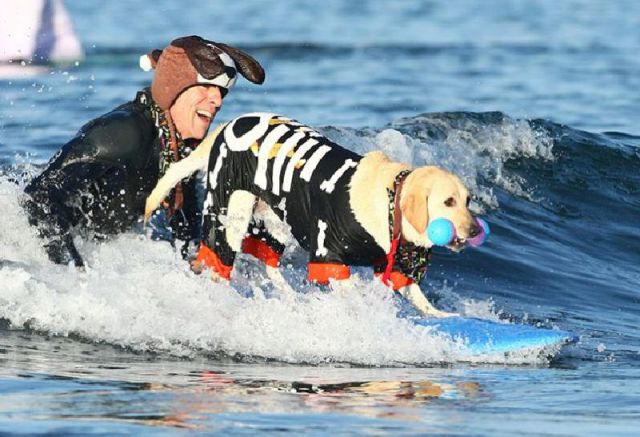 morning picdump 58 pics 16.html - 58 HD Photos | Premium Gallery 2011