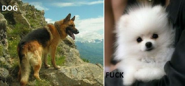 morning picdump 58 pics 16.html - 58 HD Photos | Premium Gallery 2011