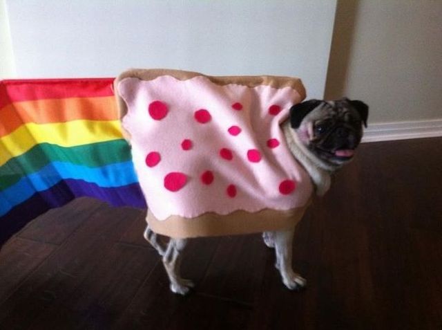 morning picdump 58 pics 16.html - 58 HD Photos | Premium Gallery 2011