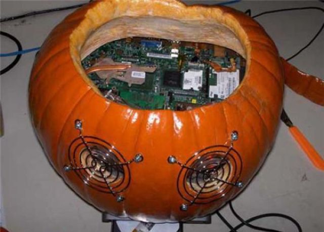 morning picdump 60 pics 8.html - 60 HD Photos | Premium Gallery 2011