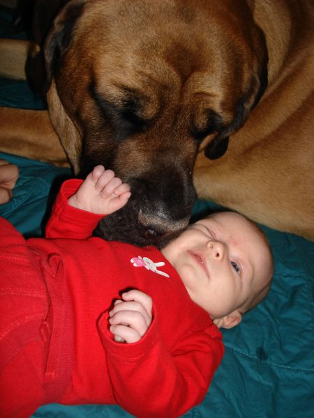 morning picdump 60 pics 8.html - 60 HD Photos | Premium Gallery 2011