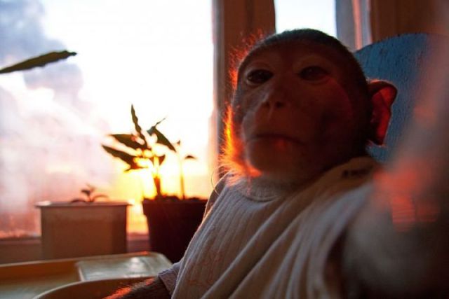 morning picdump 58 pics 17.html - 58 HD Photos | Premium Gallery 2011