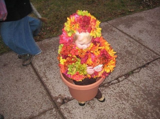 morning picdump 58 pics 17.html - 58 HD Photos | Premium Gallery 2011