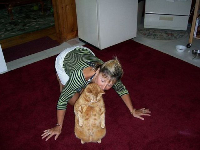 morning picdump 58 pics 9.html - 58 HD Photos | Premium Gallery 2011