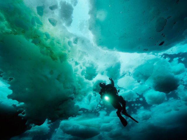 morning picdump 58 pics 9.html - 58 HD Photos | Premium Gallery 2011