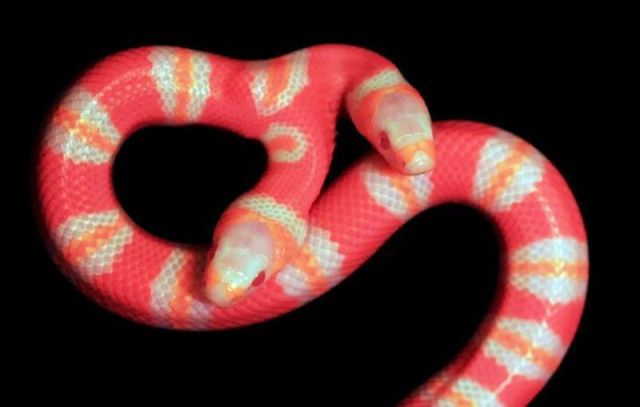 daily picdump 87 pics 12.html - 87 HD Photos | Premium Gallery 2011