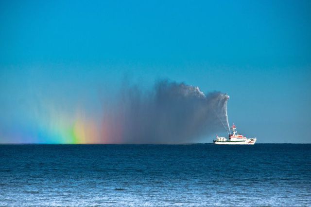 daily picdump 87 pics 12.html - 87 HD Photos | Premium Gallery 2011