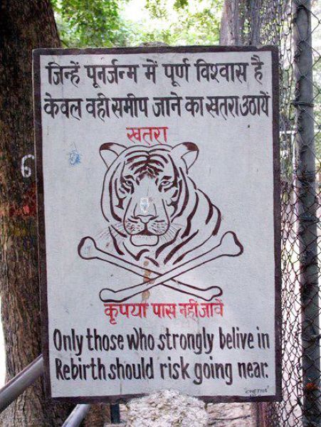 daily picdump 85 pics 30.html - 85 HD Photos | Premium Gallery 2011