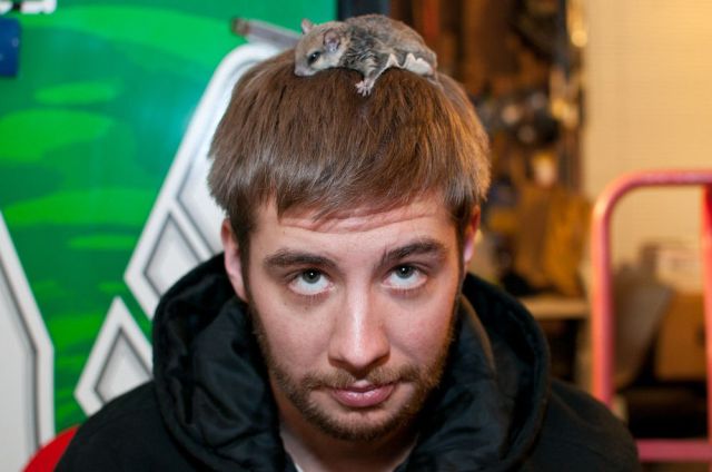 daily picdump 85 pics 30.html - 85 HD Photos | Premium Gallery 2011