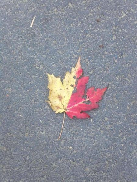 morning picdump 70 pics 31.html - 70 HD Photos | Premium Gallery 2011