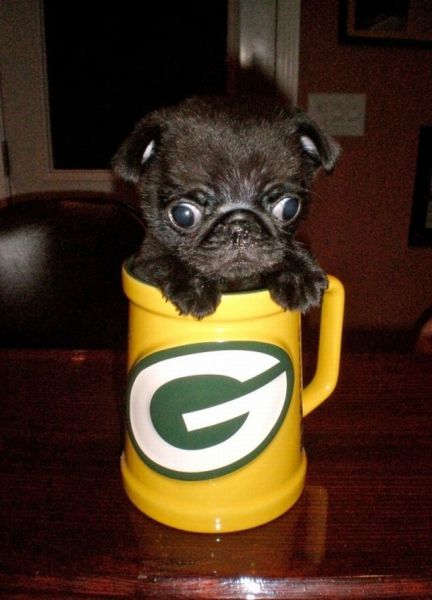 morning picdump 70 pics 31.html - 70 HD Photos | Premium Gallery 2011