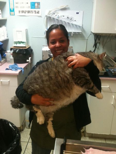 daily picdump 90 pics 35.html - 90 HD Photos | Premium Gallery 2011