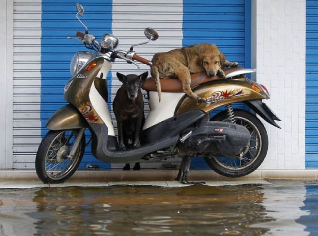 morning picdump 59 pics 28.html - 59 HD Photos | Premium Gallery 2011