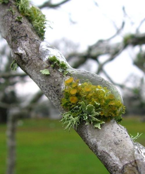 morning picdump 59 pics 28.html - 59 HD Photos | Premium Gallery 2011