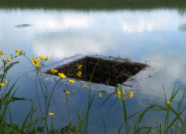 morning picdump 59 pics 28.html - 59 HD Photos | Premium Gallery 2011