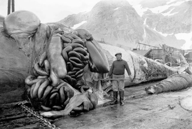 morning picdump 62 pics 28.html - 62 HD Photos | Premium Gallery 2011