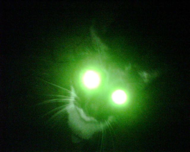 morning picdump 62 pics 28.html - 62 HD Photos | Premium Gallery 2011