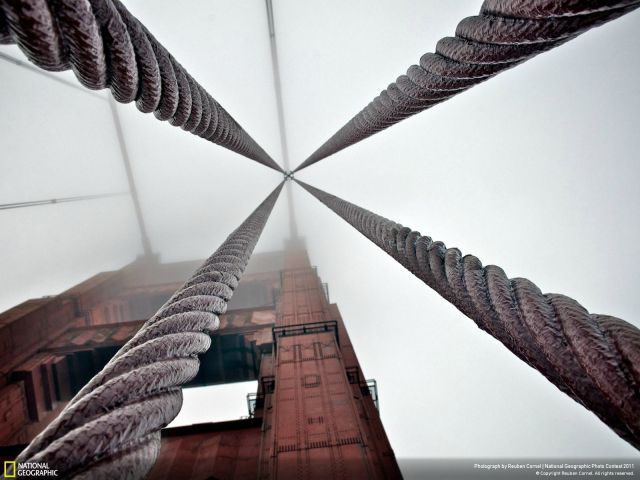 morning picdump 63 pics 4.html - 63 HD Photos | Premium Gallery 2011