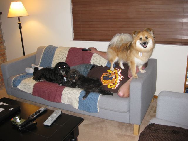 morning picdump 63 pics 4.html - 63 HD Photos | Premium Gallery 2011