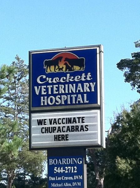 morning picdump 63 pics 4.html - 63 HD Photos | Premium Gallery 2011