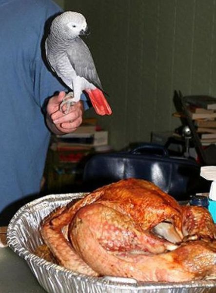 morning picdump 57 pics 3.html - 57 HD Photos | Premium Gallery 2011