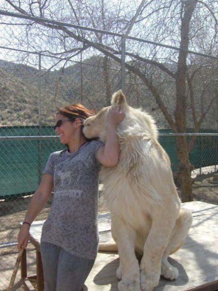 morning picdump 57 pics 3.html - 57 HD Photos | Premium Gallery 2011