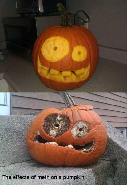 morning picdump 57 pics 3.html - 57 HD Photos | Premium Gallery 2011