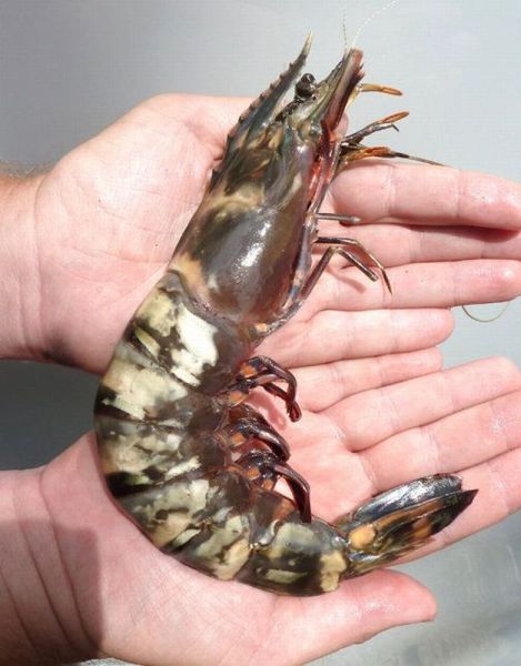 morning picdump 66 pics 1.html - 66 HD Photos | Premium Gallery 2011