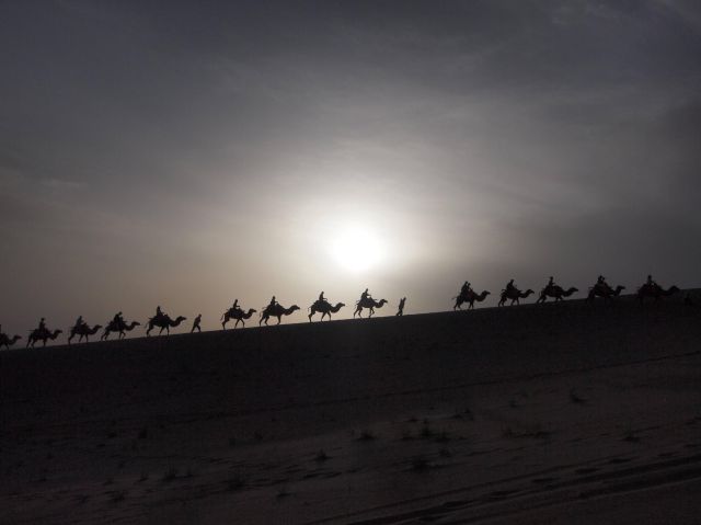 morning picdump 66 pics 1.html - 66 HD Photos | Premium Gallery 2011