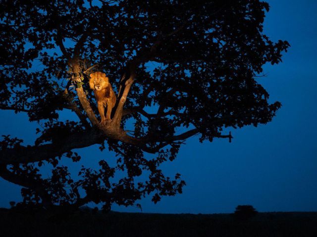 morning picdump 66 pics 1.html - 66 HD Photos | Premium Gallery 2011