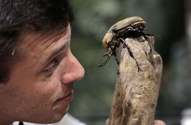 morning picdump 66 pics 1.html - 66 HD Photos | Premium Gallery 2011