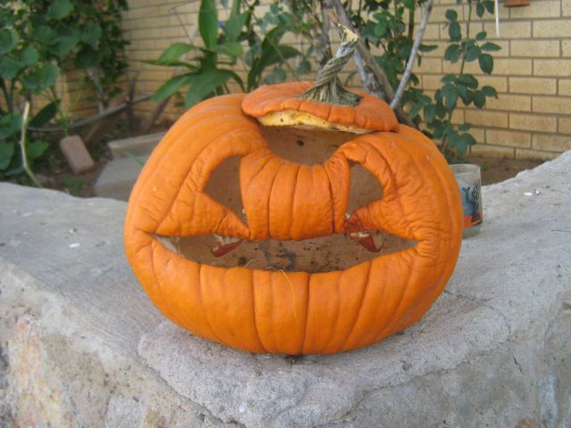 morning picdump 66 pics 1.html - 66 HD Photos | Premium Gallery 2011