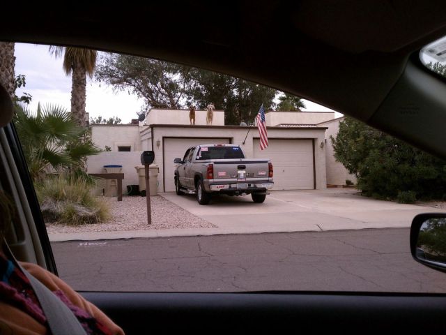 morning picdump 66 pics 1.html - 66 HD Photos | Premium Gallery 2011