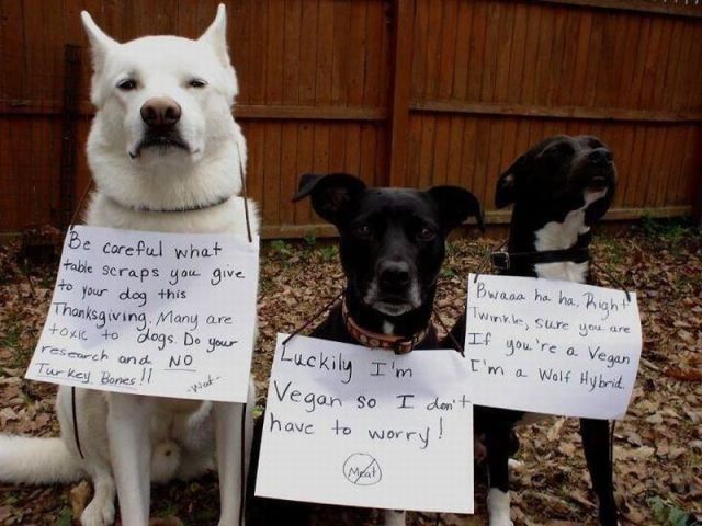 morning picdump 67 pics 3.html - 67 HD Photos | Premium Gallery 2011