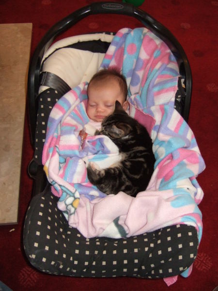 morning picdump 67 pics 3.html - 67 HD Photos | Premium Gallery 2011