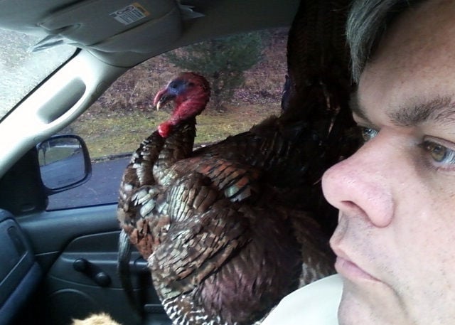 Funny Thanksgiving Moments