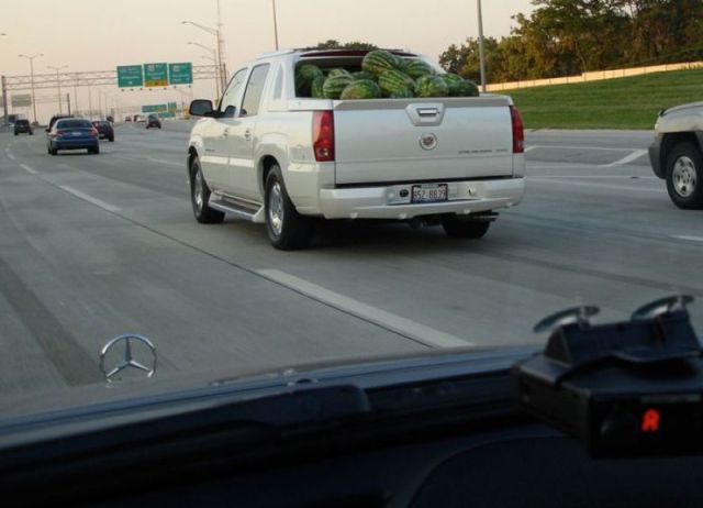 Morning Picdump