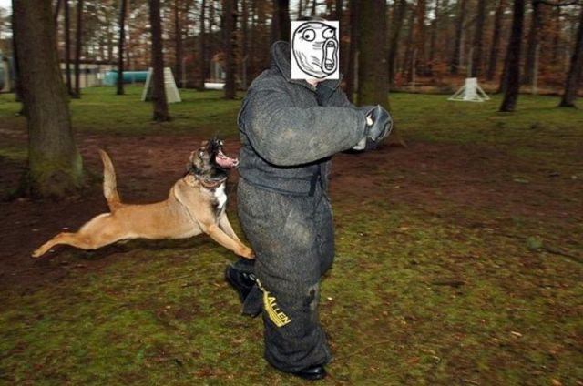 Morning Picdump