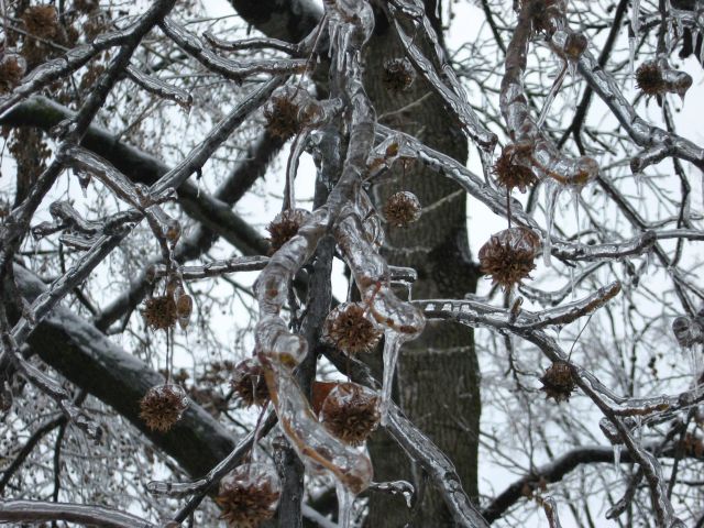 Daily Picdump [WEEKEND EDITION]