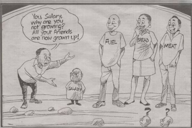 Daily Picdump [WEEKEND EDITION]